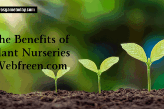 the benefits of plant nurseries webfreen.com